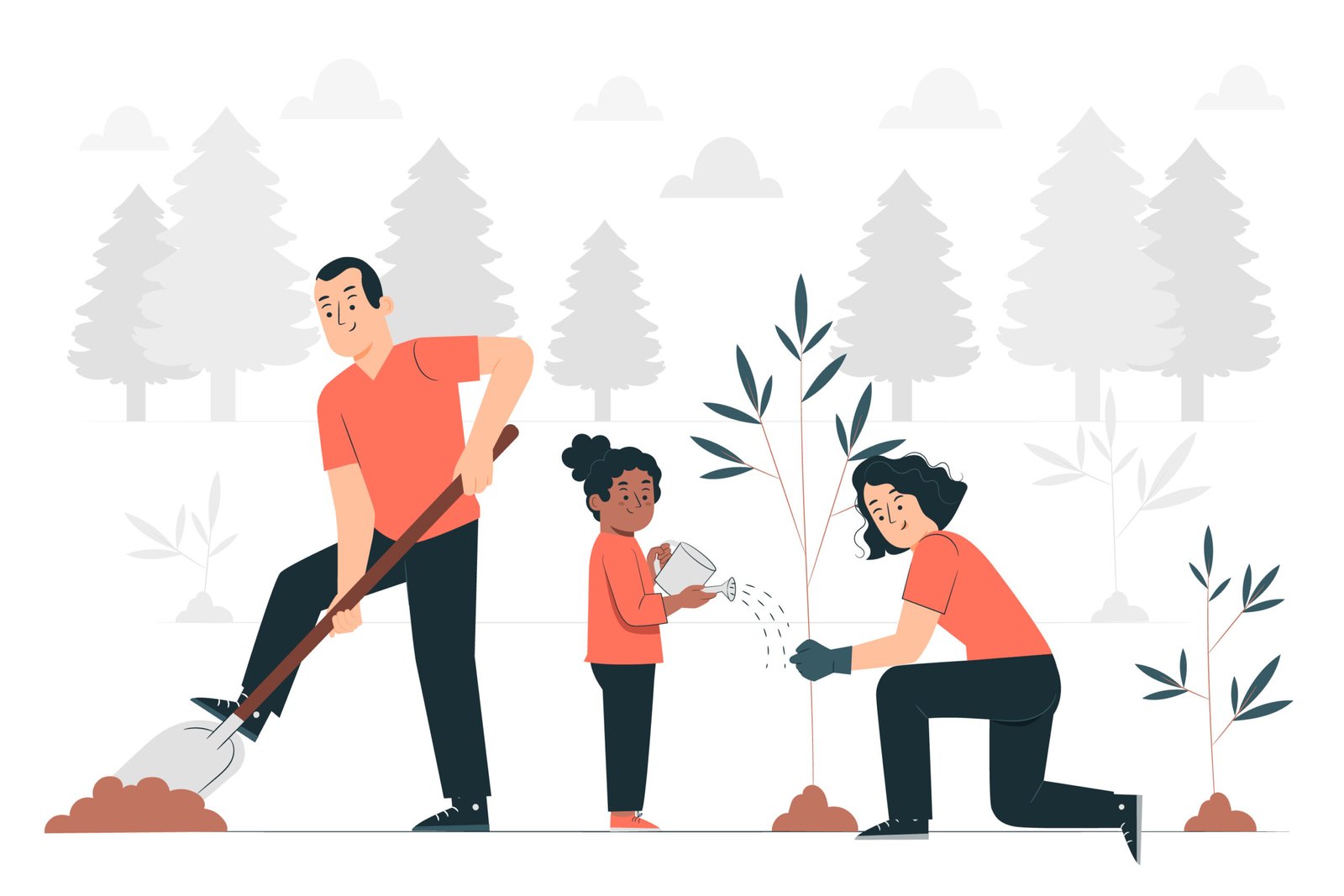 rosemry plant gardening illustration