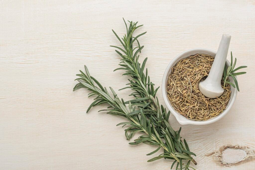 Dried and fresh rosemary leaves